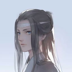 我永远喜欢蓝忘机,那位雅正端方的含光君