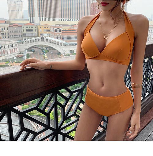 启言泳衣女分体欧美复古显瘦性感高腰比基尼小胸聚拢bikini度假游泳衣