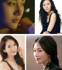 宋茜金泰熙刘亦菲刘诗诗女星撞脸是整容的错