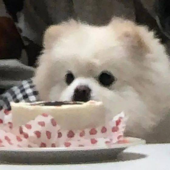 巨巨巨好看的高清头像壁纸美图
