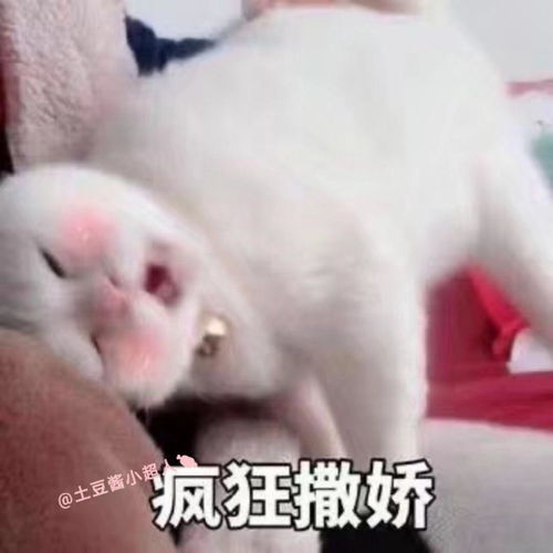 哪些句子可以瞬间哄好生气的男朋友