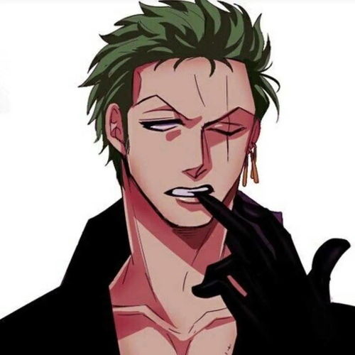 头像海贼王索隆专属