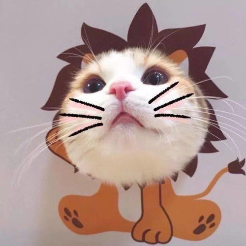 女生头像