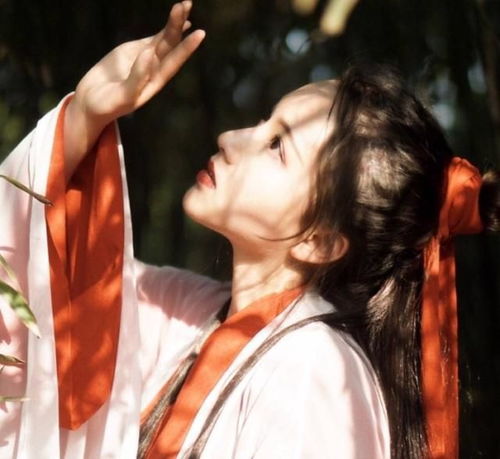 娘子掀底牌后我惊呆了被退婚,她嫁给解元郎我相公万里挑一