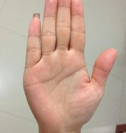 易道玄这种手相的女人,聚财能力强又旺夫