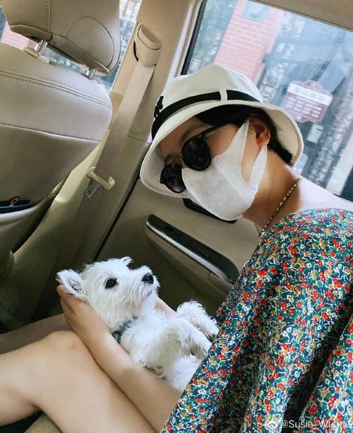 李亚鹏女友晒男友视角美照,嘴上说晒狗狗,实则大秀美腿