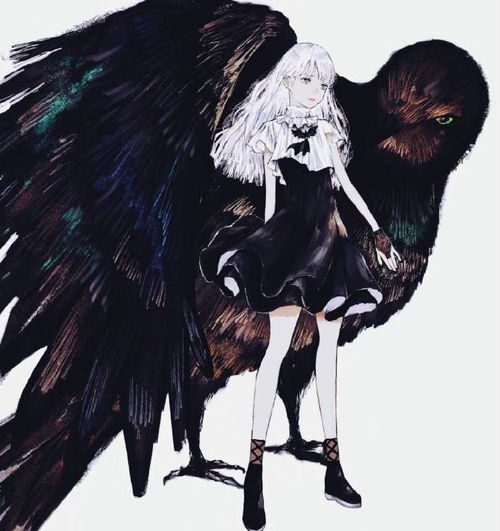 插画师shirone作品