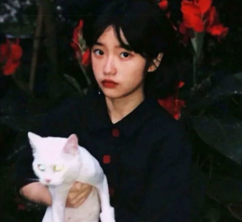头像人类高质量女生头像