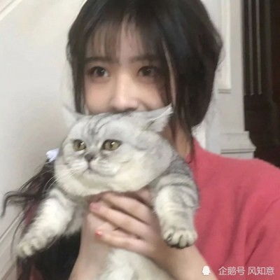 就问,谁能虐射手座怎么虐到ta