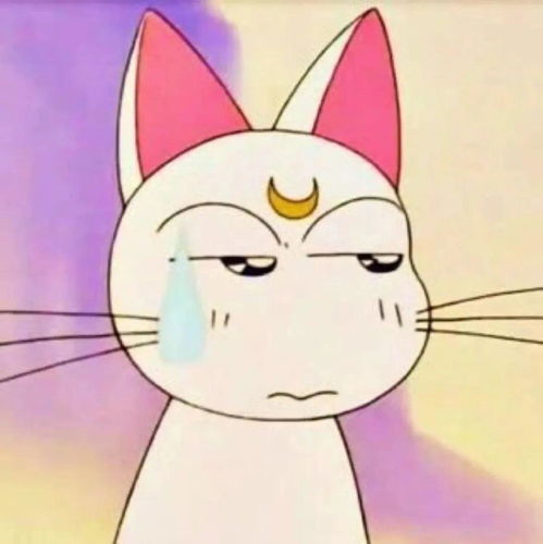 有什么特别沙雕的搞怪头像