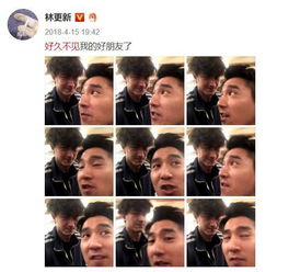 林更新王丽坤否认结婚,他俩也没承认过在一起啊