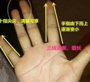 女人此处越小,命就越好,十人有九贵,注定一辈子钱财不愁