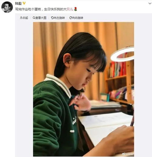 陆毅晒12岁女儿庆生照,有谁注意到除了蛋糕还有网友典型的中国家长