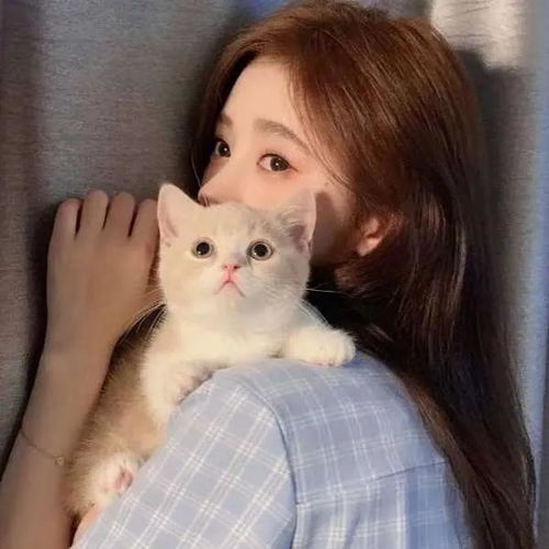 抱猫女头与你撞个满怀