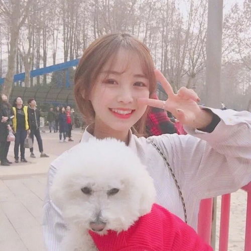 超美小仙女专用微信头像