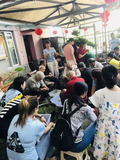 80后海归硕士筹资500万办养老院,每月收费拒绝微信,只为让子女多来看老人