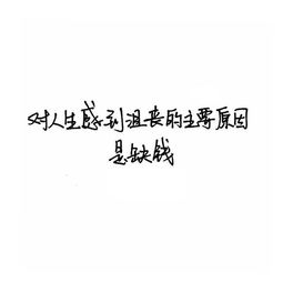 透过窗玻璃只见满天飘下娇柔点点
