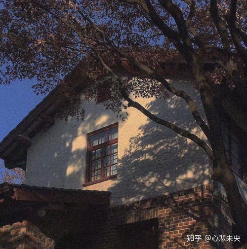 影墙