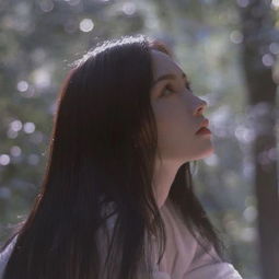 百星会员如何升级