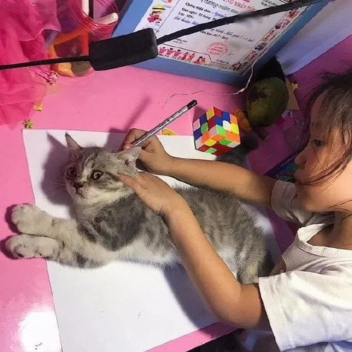 这是在那练瑜伽呢吗