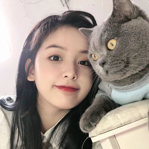 女生抱着蓝猫精美头像