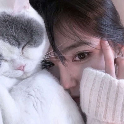 女头像是猫说明单身婚恋网站