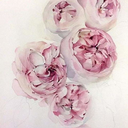 校尉美术带你欣赏逼真写实的水彩动物绘画作品