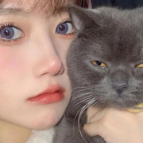 抱猫女头与你撞个满怀