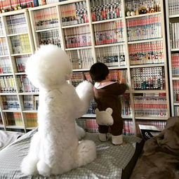 如果因为生孩子就把狗狗送走,你将永远错过这些画面