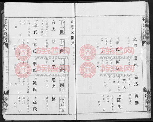 京川祁氏宗谱第1本祁氏堂号字辈查阅族谱网