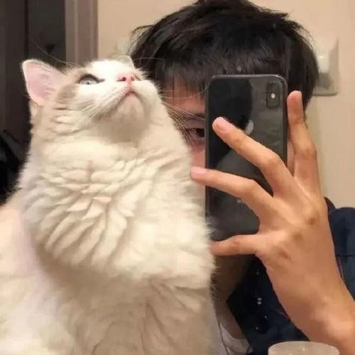 优质男头不期而遇努力中的惊喜