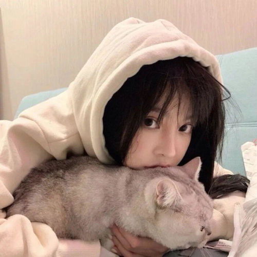 女生头像我觉得猫很可爱