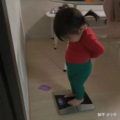 2020有哪些好用不贵的体重秤体重计体脂秤