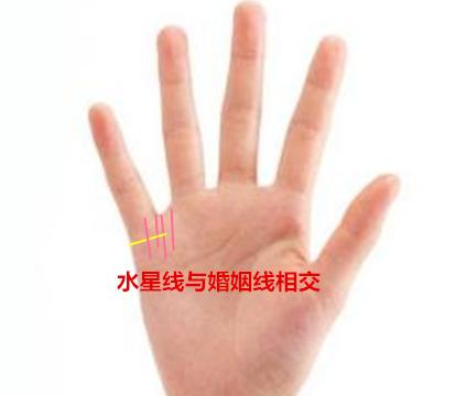 最齐全的8种旺夫女手相,持家旺夫,八方聚财,你有几种
