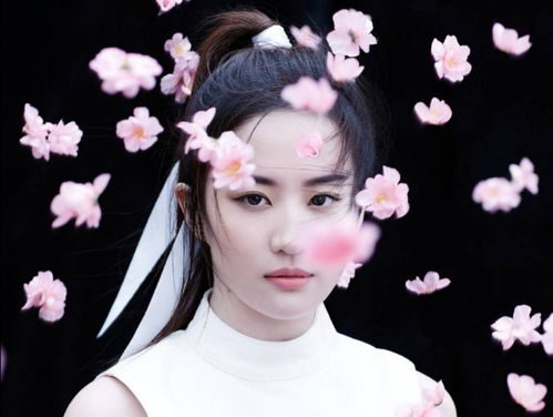 刘亦菲,又红了