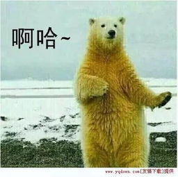 气温正好,景色绝佳,他们粗花去了宁夏