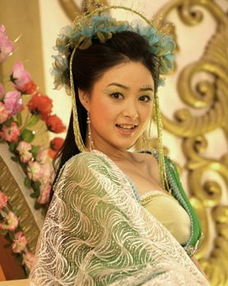 影视剧骨灰级打酱油美女古装丫鬟嫁日版f4