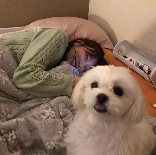 头像这种沙雕头像不常见啊