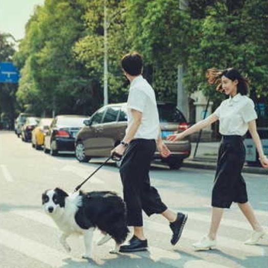 女生和狗狗头像唯美图文张俪