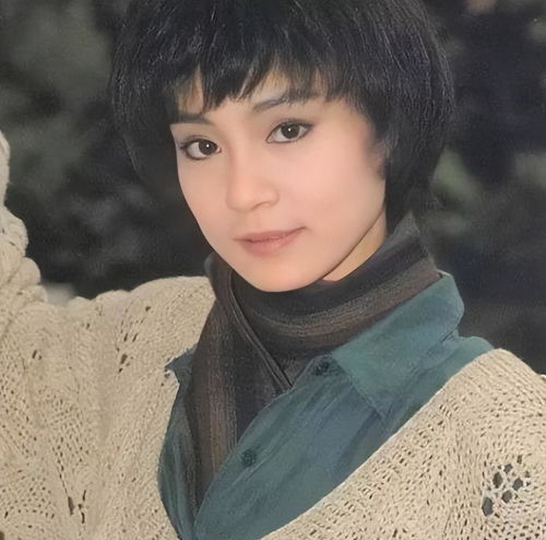 这才是真实晚年丁克生活,刘雪华就是残酷例子,再有钱也没有用
