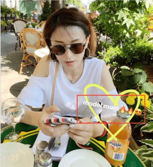 杨子43岁前妻陶虹近照,颜值气质不输黄圣依,女儿杨海润入读哈佛