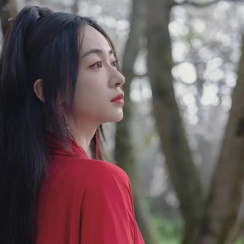 男频完美女性和女频黑莲花女主,谁更爽