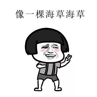 福利福利仙女们,不来这里拍抖音,你的视频怎么能火