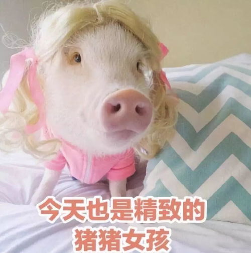 原来精致的樱花妹子包包里都藏着小秘密