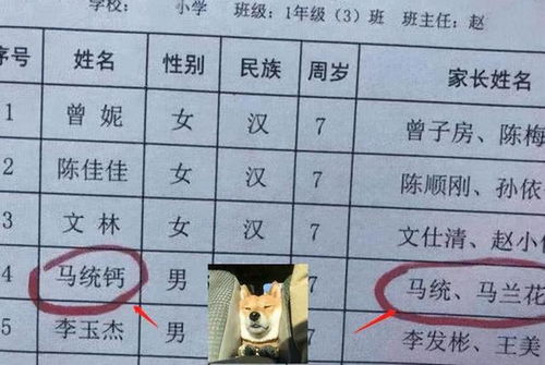 连姓带名共2笔,小学女生因姓名极简火了答卷子赢在起跑线