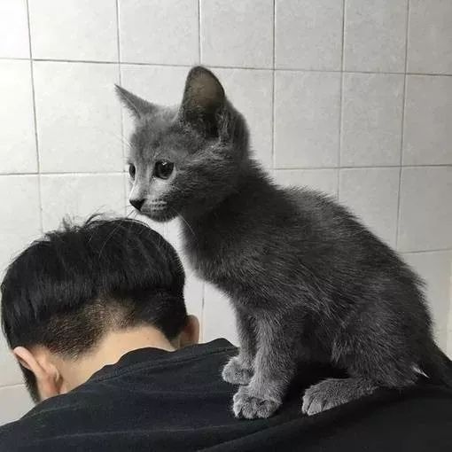 头像壁纸女生哄男生的小套路