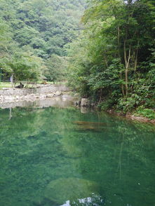 2014年8月桐庐避暑亲子3日游