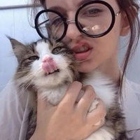 qq女生头像抱猫咪