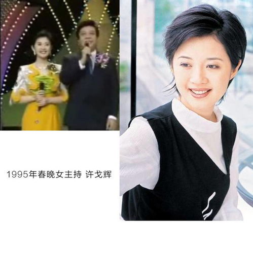 怀旧迎新28年春晚美女主持你最爱谁