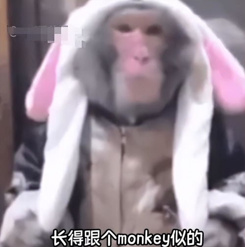 国人用中式英语安慰外国女生,竟火到外网变流行梗老外表示折服